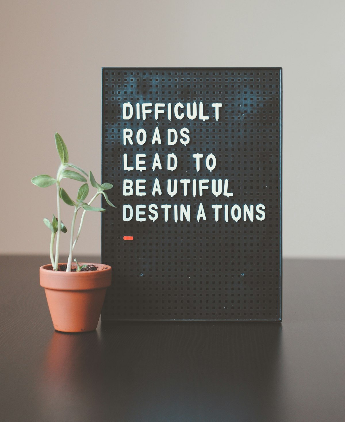 Finding Joy in Small Things: A Developer's Guide to Mindfulness